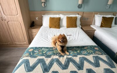 Bournemouth Dog Friendly Hotels: The Easy Coastal Stay I Didn’t Expect To Love
